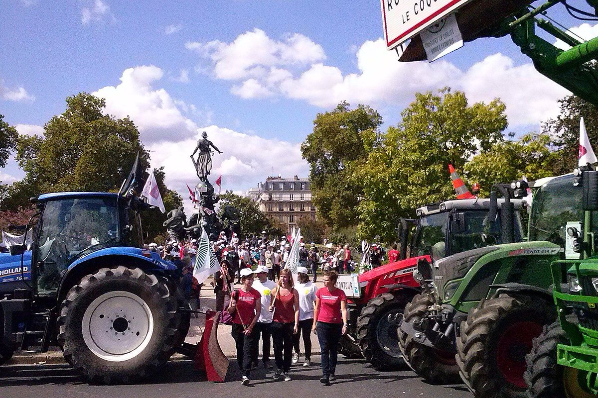 Illustration article