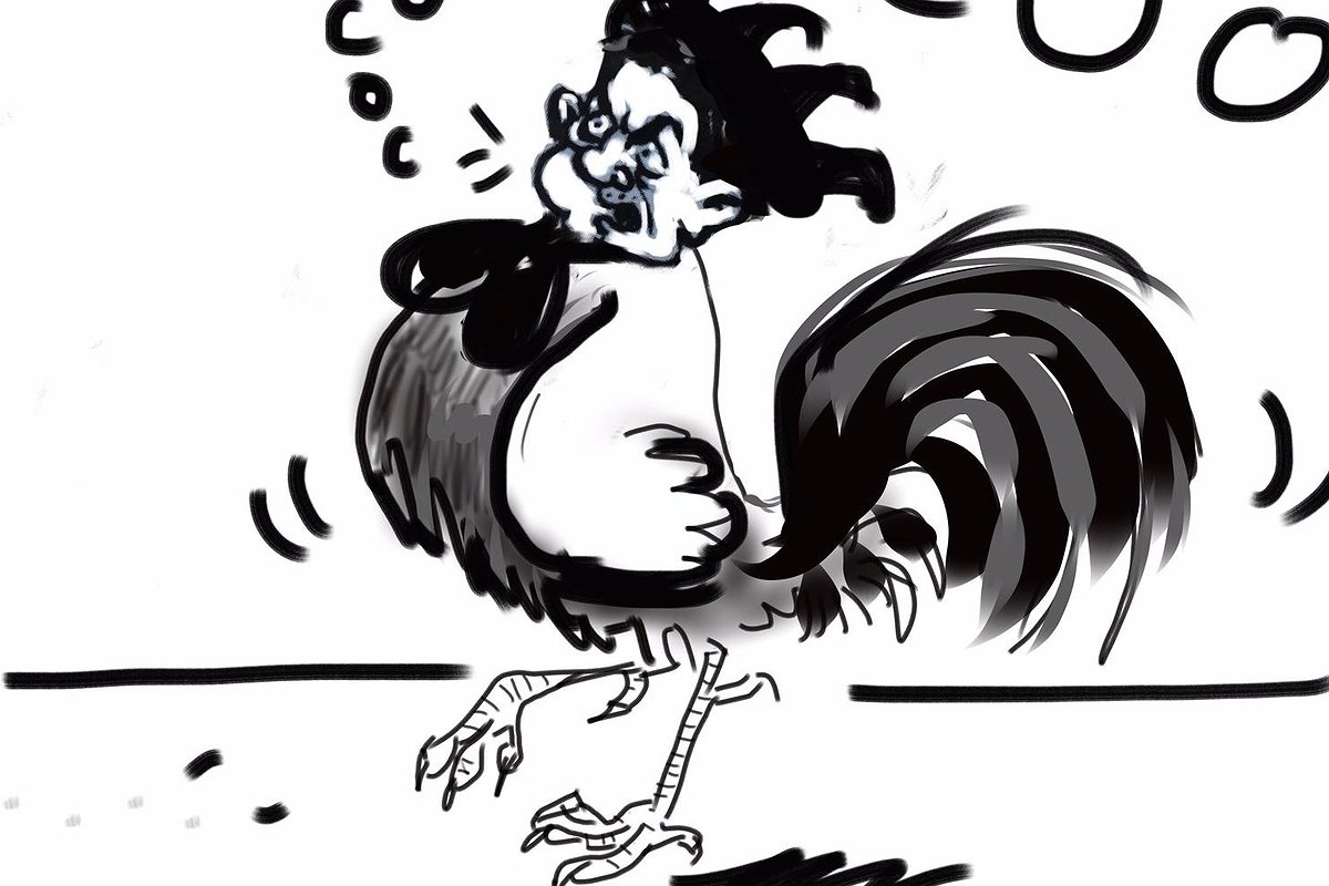 Illustration article