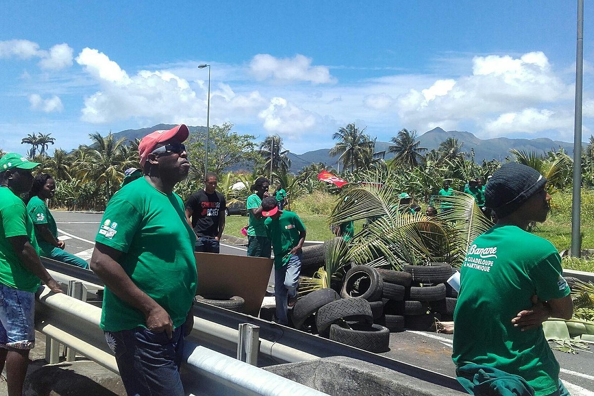 Illustration article