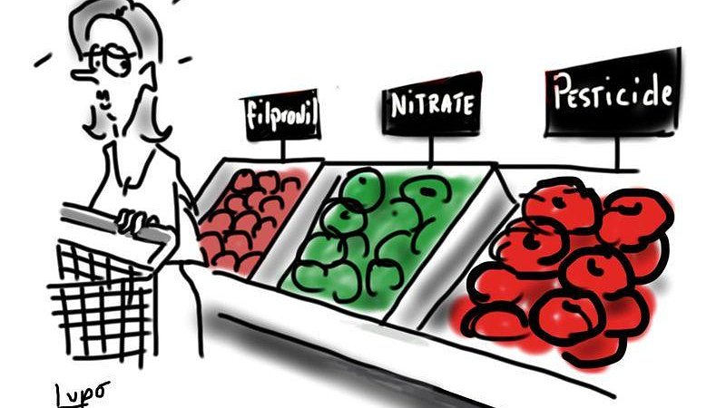 Illustration article