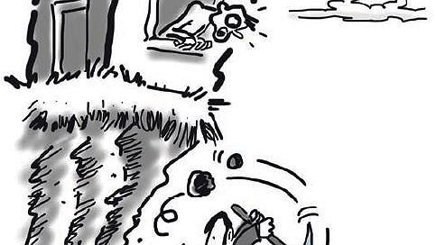 Illustration article