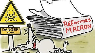 Illustration article