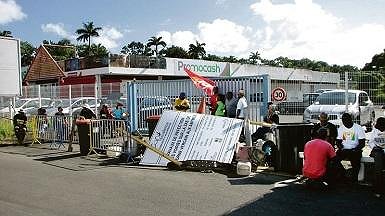 Illustration article