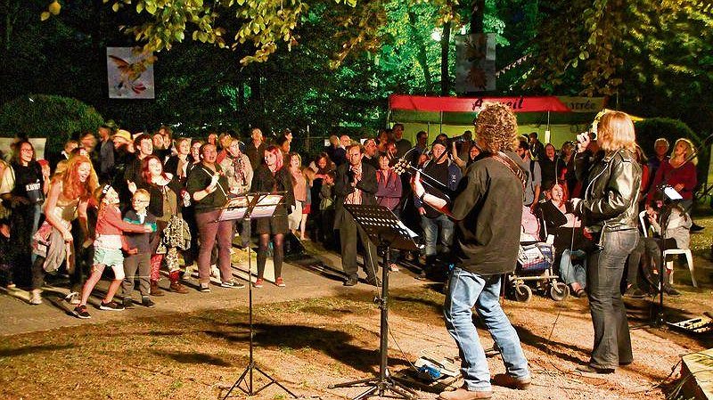 Illustration article