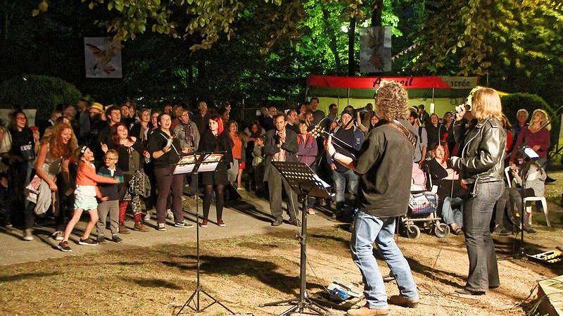 Illustration article