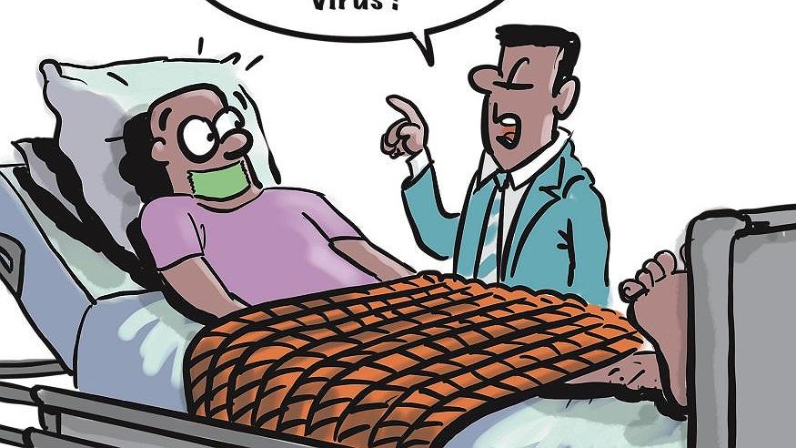 Illustration article