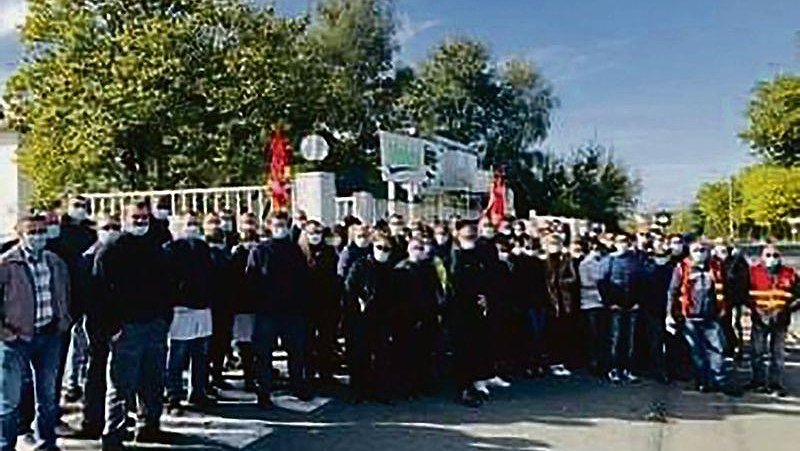 Illustration article