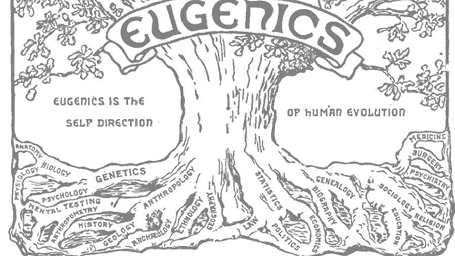 Illustration article