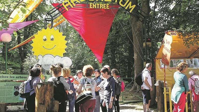 Illustration article