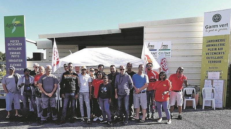 Illustration article