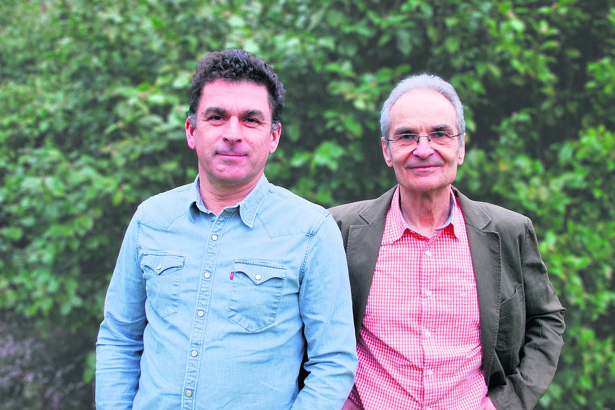 Illustration article